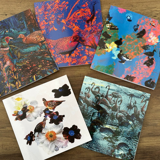 Five colorful greeting cards with nature-themed designs on a wooden surface