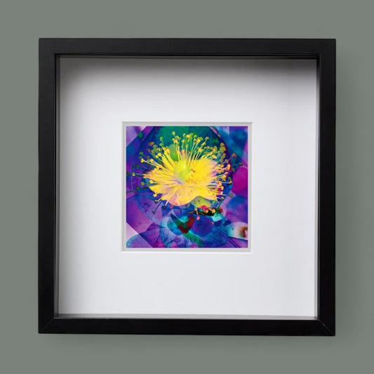 Mandarin Scent Square Framed Print, from A Collection of Flowers - Square Framed Prints - Eclectic Blue Studio
