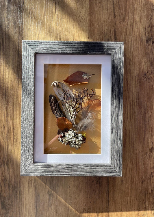Sea & Land Still Natures — Framed Botanical Art - Visual Artwork - Eclectic Blue Studio