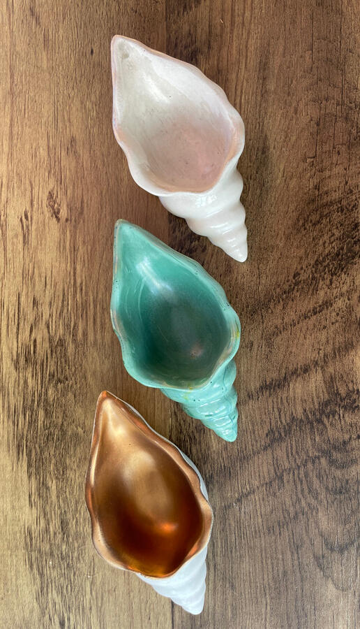 Conchs casts