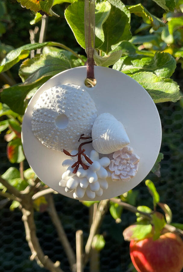 Seashell conch cast art