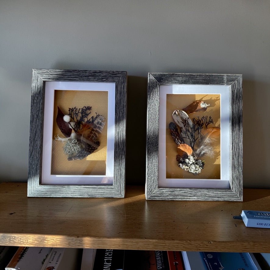Sea & Land Still Natures — Framed Botanical Art - Visual Artwork - Eclectic Blue Studio