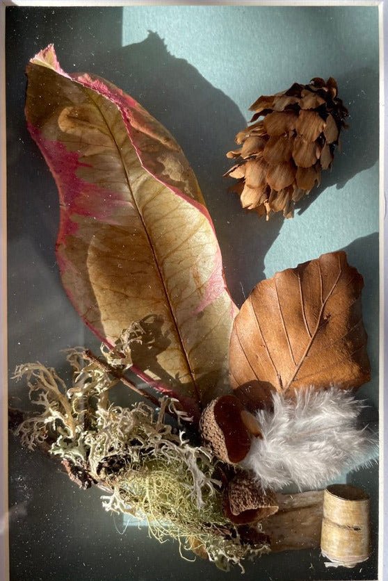 Autumn Walk Still Natures — Framed Botanical Art - Visual Artwork - Eclectic Blue Studio