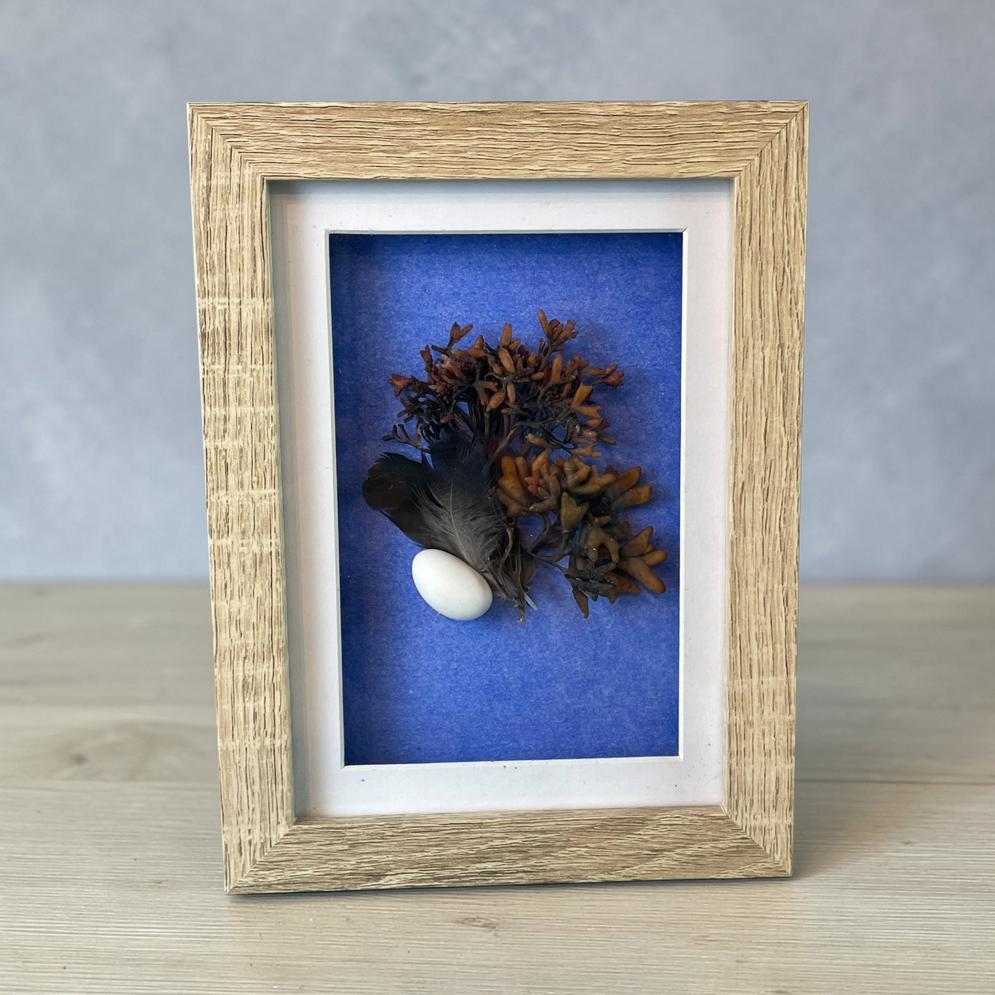 Seaweed Still Nature — Framed Botanical Art - Visual Artwork - Eclectic Blue Studio