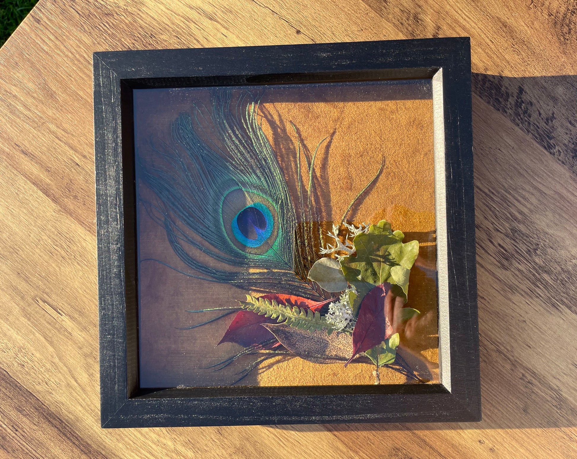 Peacock & Velvet Still Natures — Framed Botanical Art - Visual Artwork - Eclectic Blue Studio