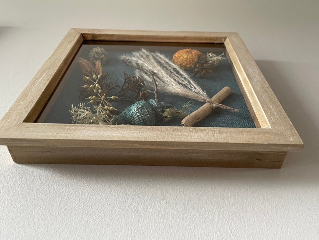 Shore to Land Still Natures — Framed Botanical Art - Visual Artwork - Eclectic Blue Studio