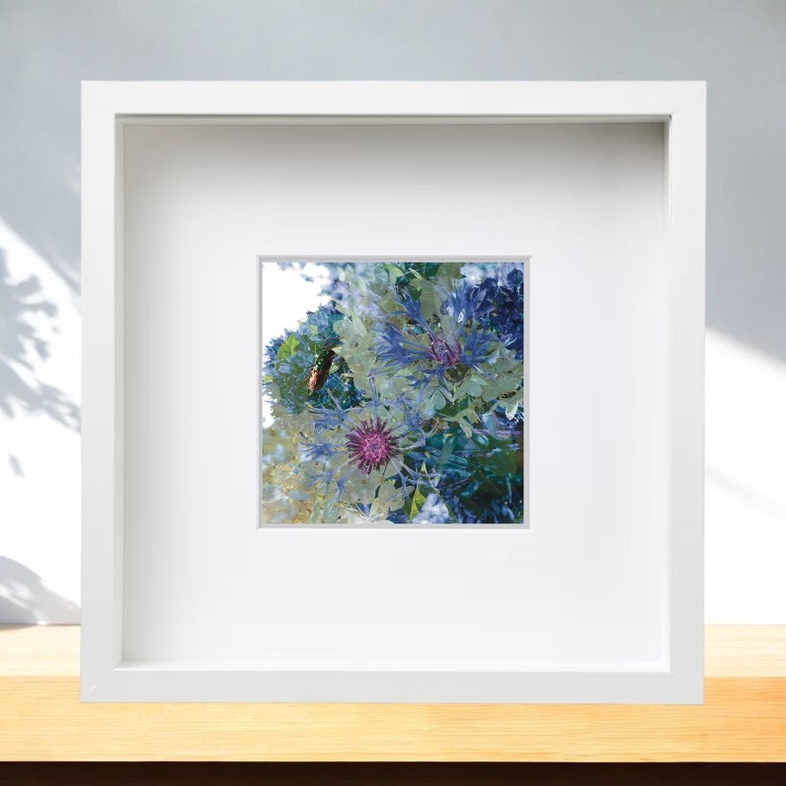 Emerald Bug II Framed Print, from A Collection of Flowers