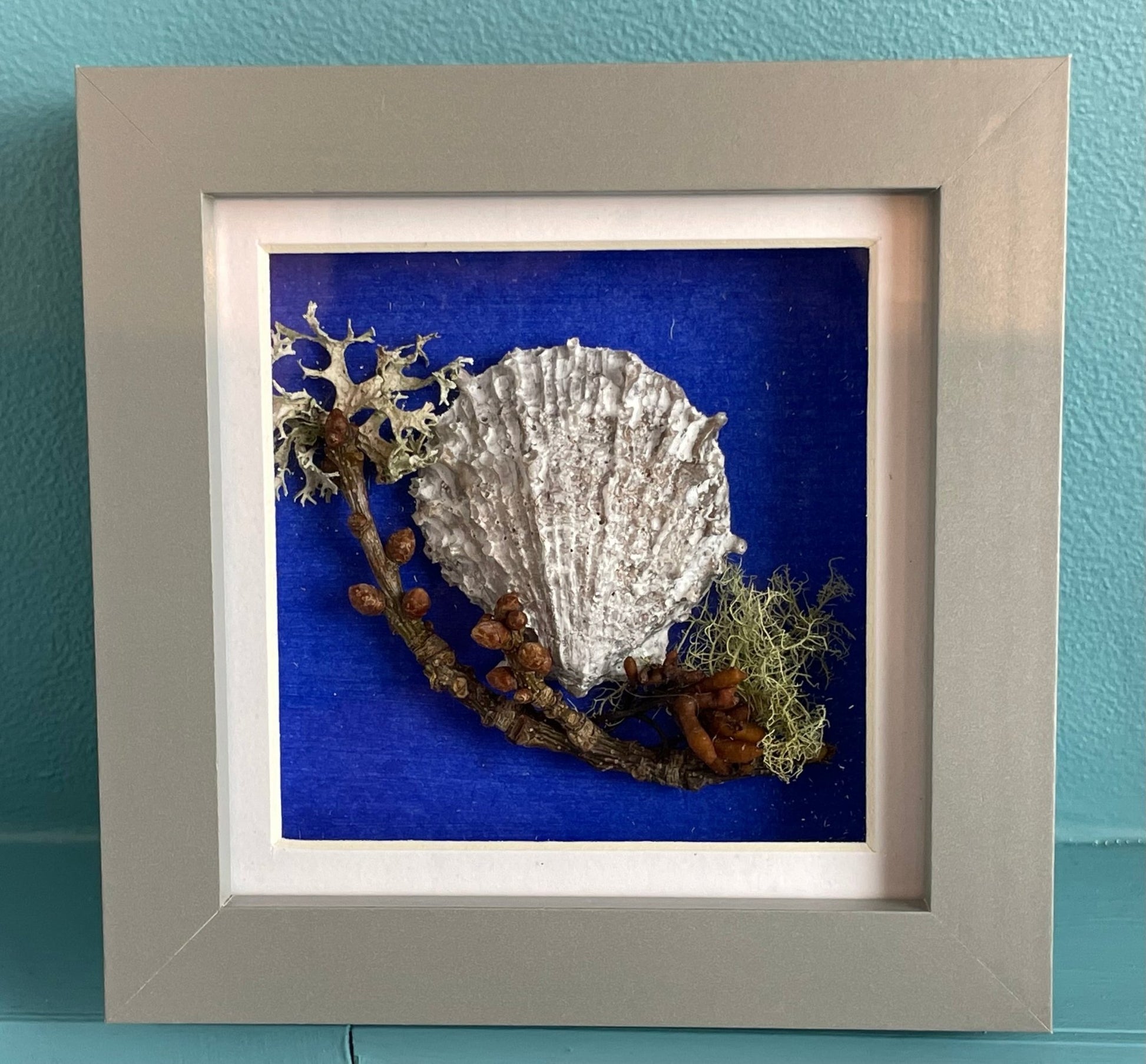Sea Shells Still Natures — Framed Coastal Art - Visual Artwork - Eclectic Blue Studio