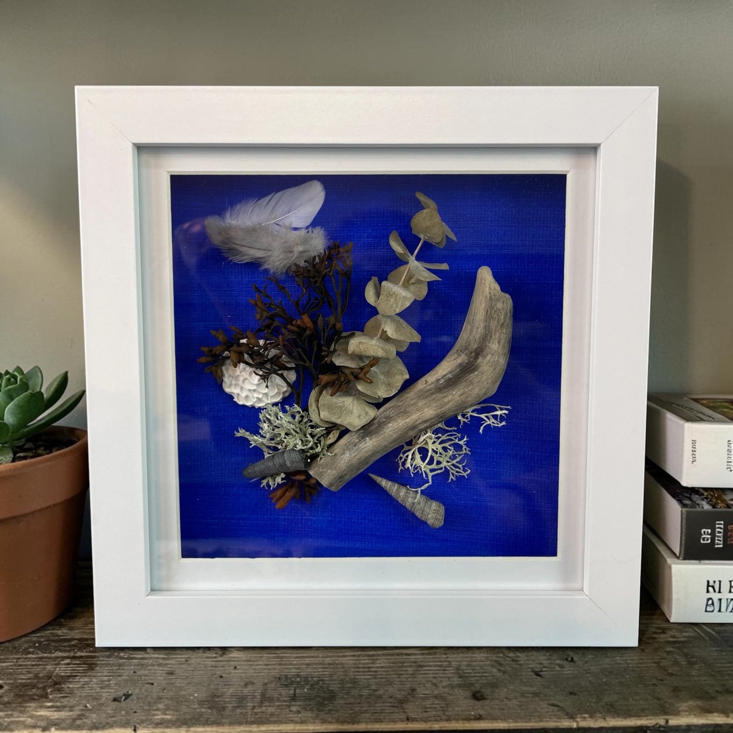 Driftwood Still Nature — Framed Coastal Art - Visual Artwork - Eclectic Blue Studio