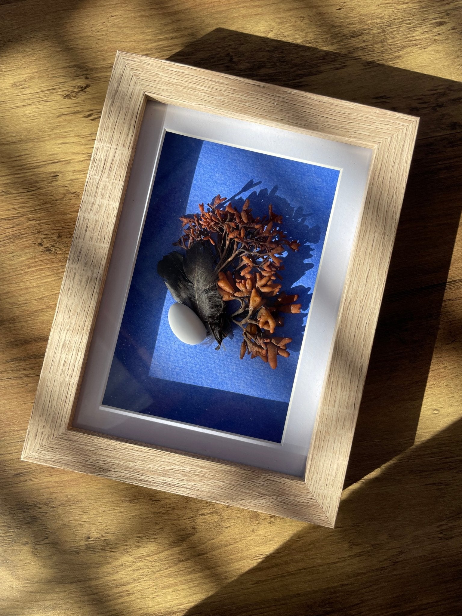 Seaweed Still Nature — Framed Botanical Art - Visual Artwork - Eclectic Blue Studio