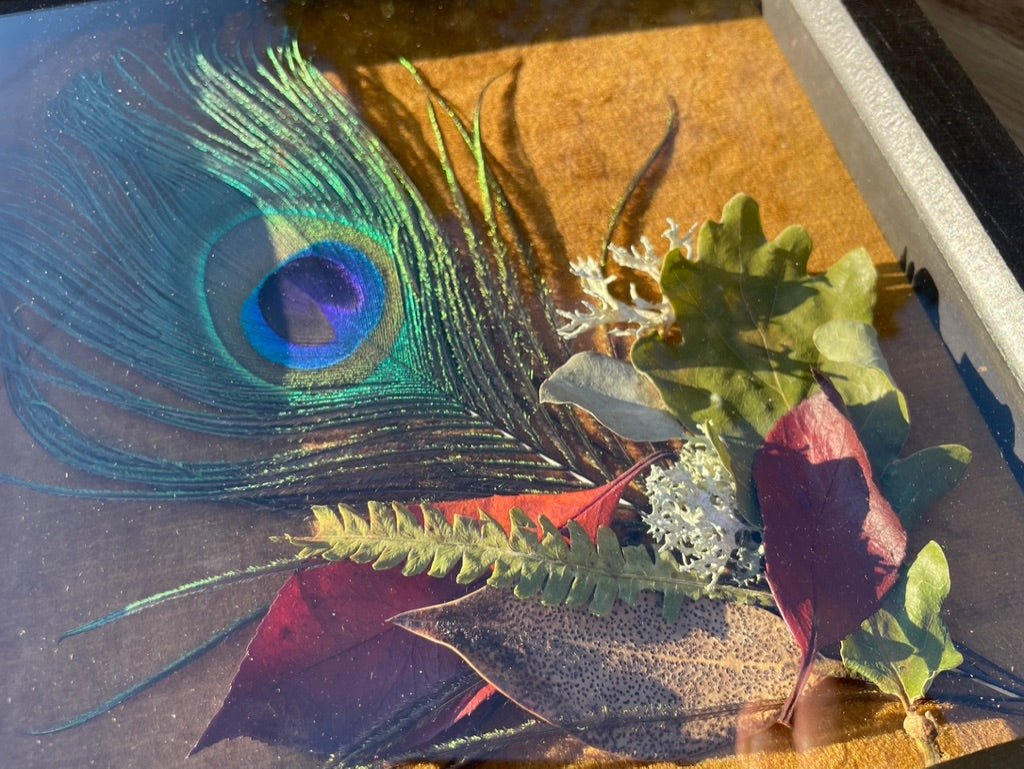 Peacock & Velvet Still Natures — Framed Botanical Art - Visual Artwork - Eclectic Blue Studio