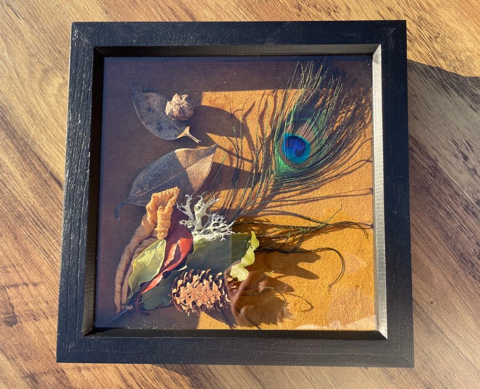 Peacock & Velvet Still Natures — Framed Botanical Art - Visual Artwork - Eclectic Blue Studio