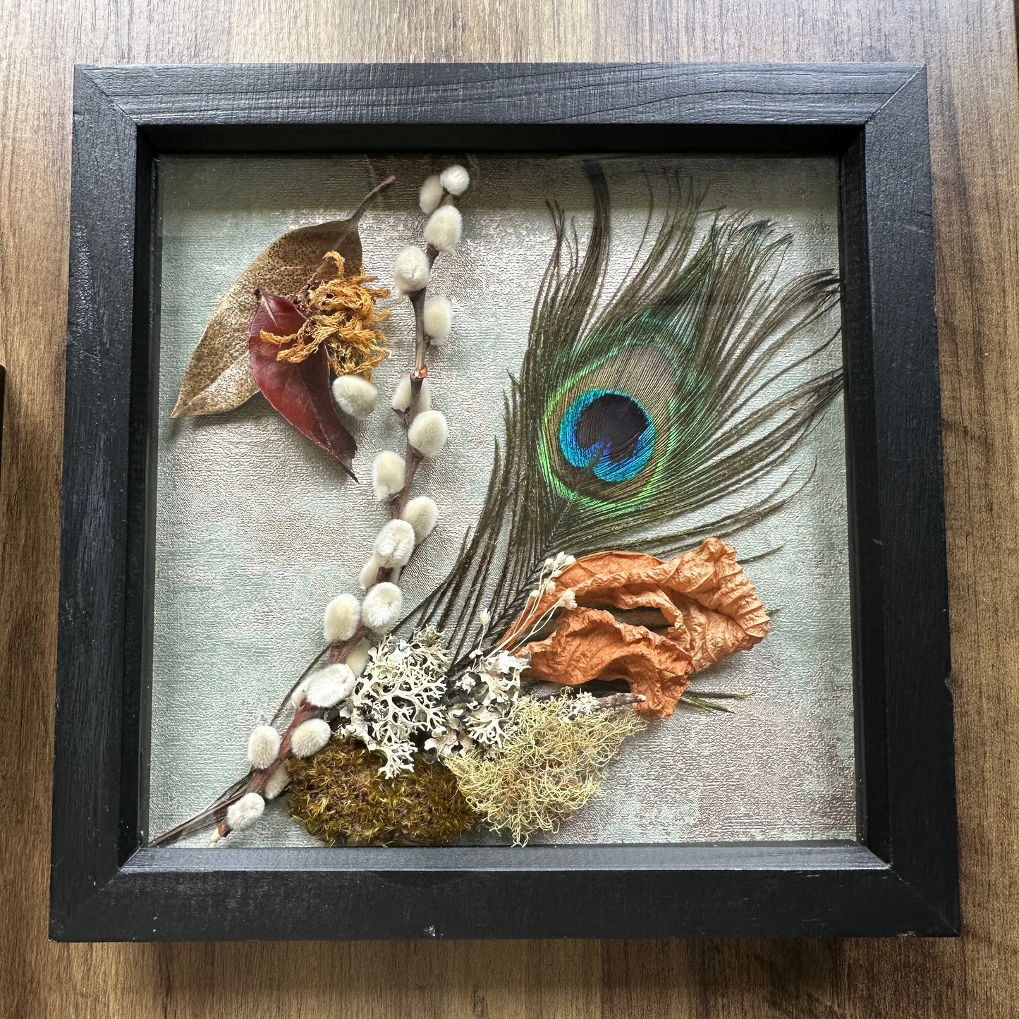 Peacock Still Natures — Framed Botanical Art