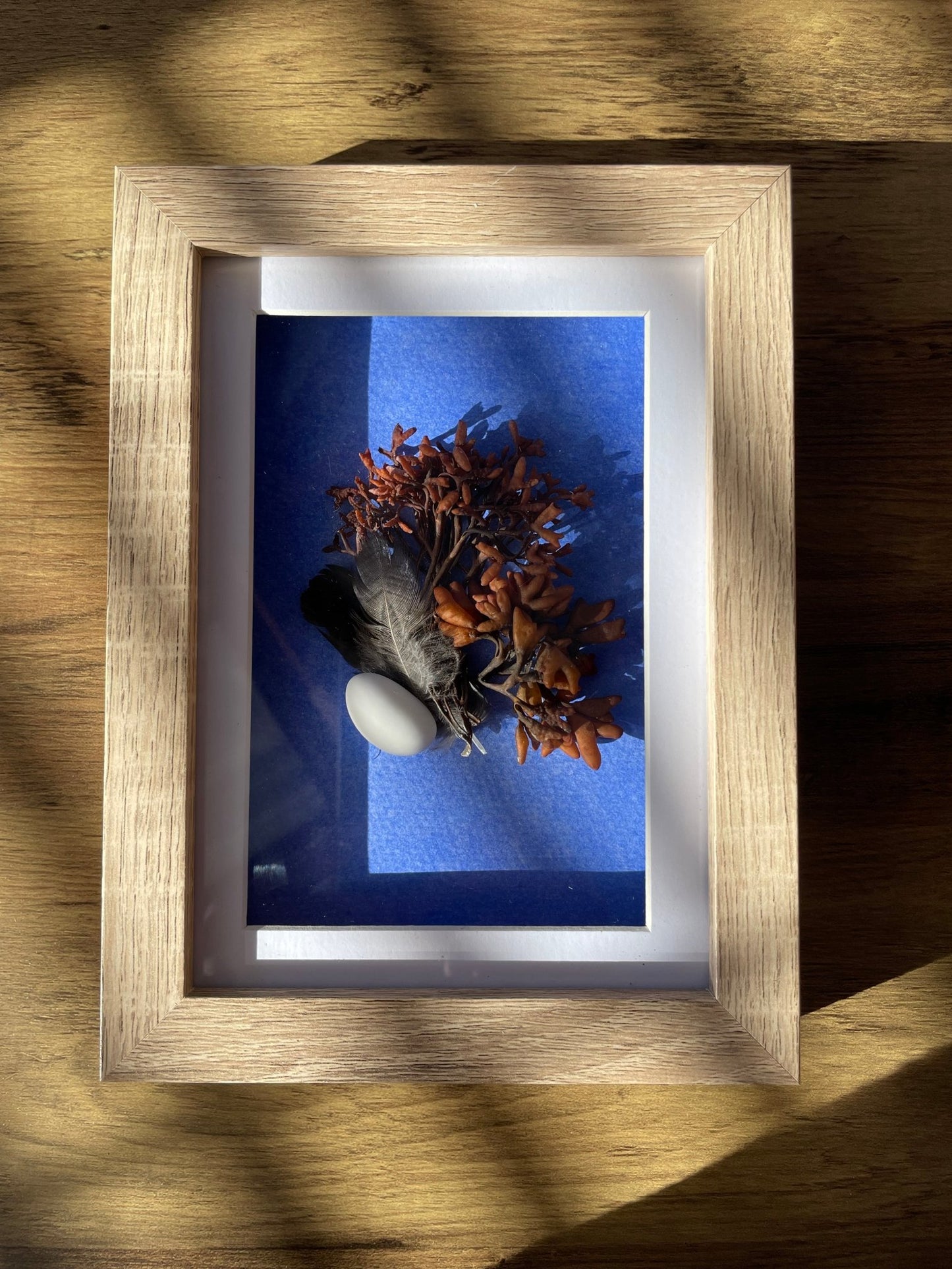 Seaweed Still Nature — Framed Botanical Art - Visual Artwork - Eclectic Blue Studio