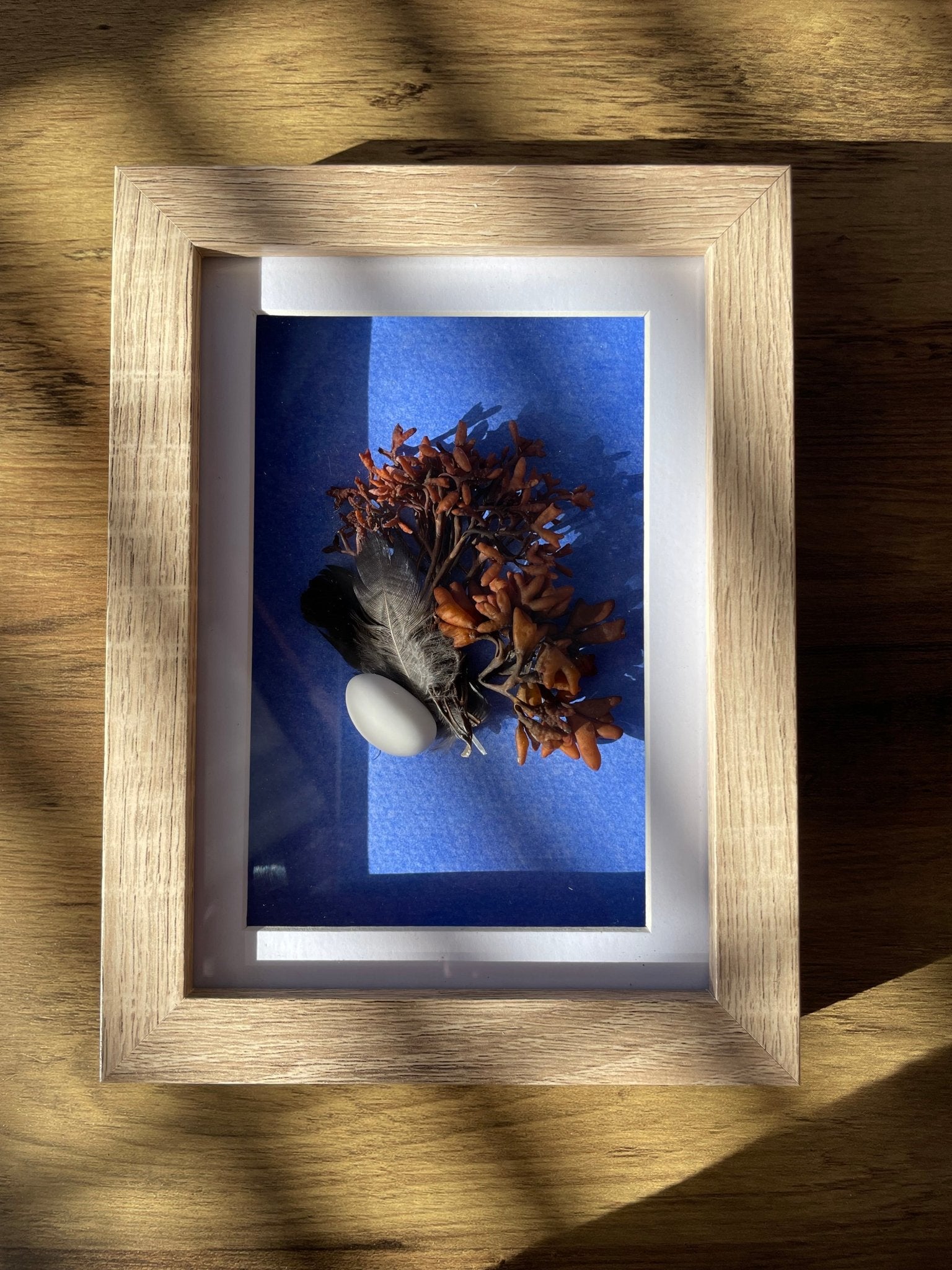 Seaweed Still Nature — Framed Botanical Art - Visual Artwork - Eclectic Blue Studio