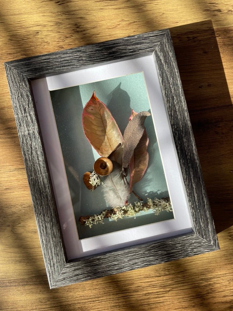 Autumn Walk Still Natures — Framed Botanical Art - Visual Artwork - Eclectic Blue Studio