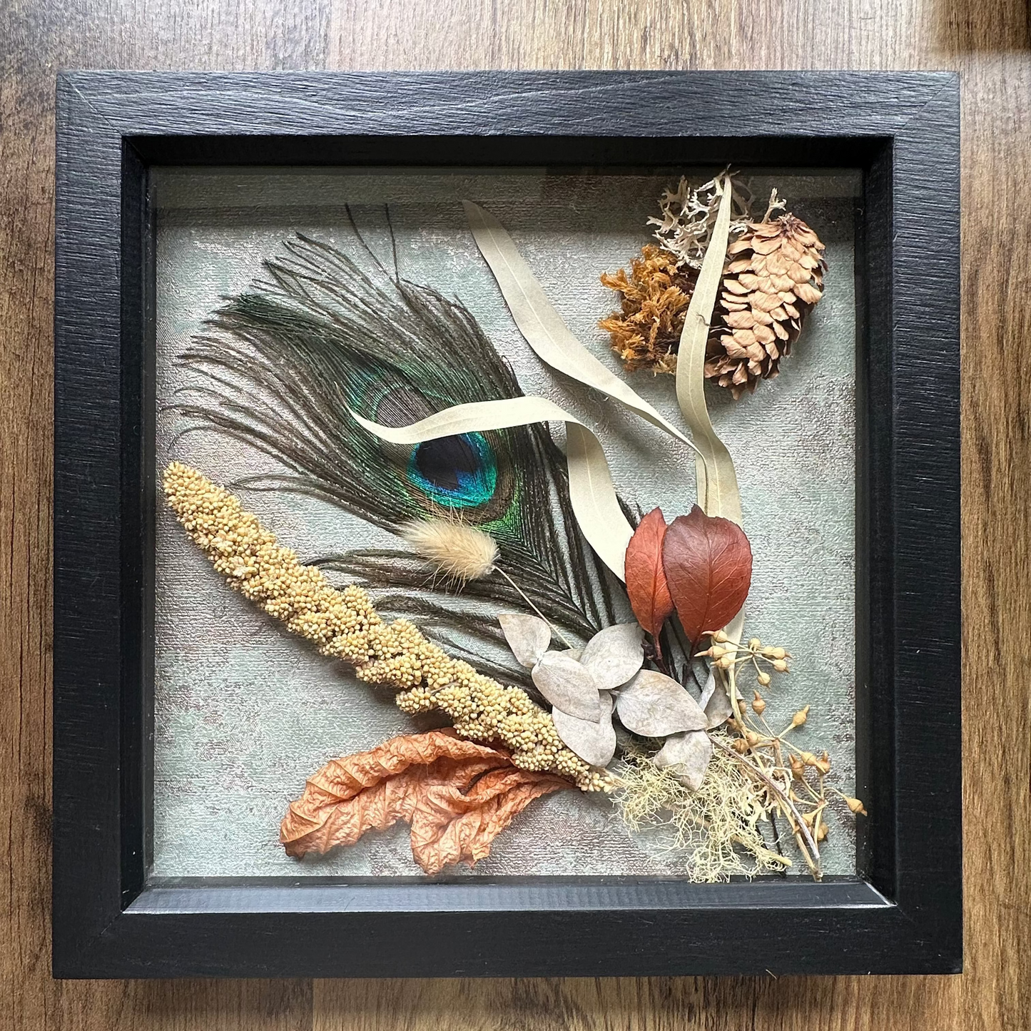 Peacock Still Natures — Framed Botanical Art