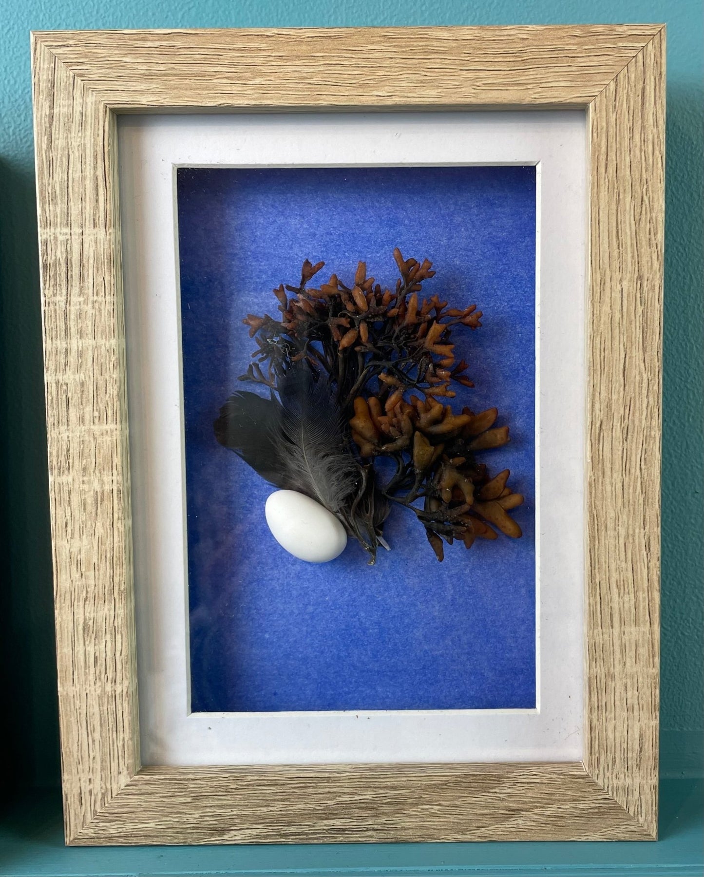 Seaweed Still Nature — Framed Botanical Art - Visual Artwork - Eclectic Blue Studio
