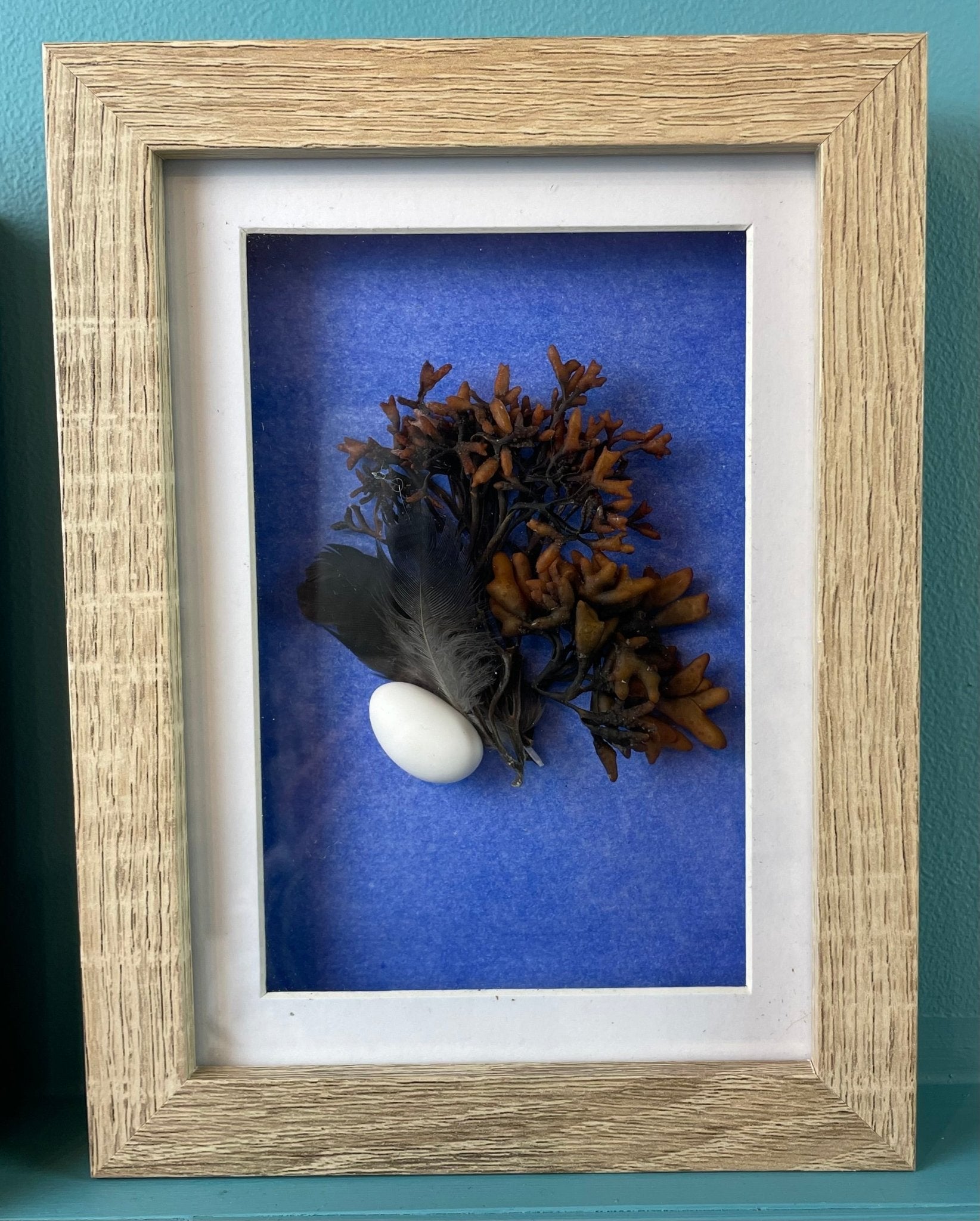 Seaweed Still Nature — Framed Botanical Art - Visual Artwork - Eclectic Blue Studio