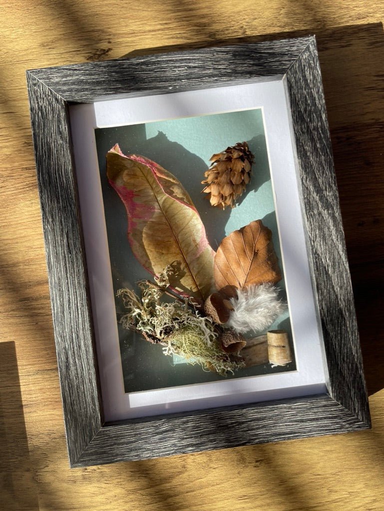 Autumn Walk Still Natures — Framed Botanical Art - Visual Artwork - Eclectic Blue Studio