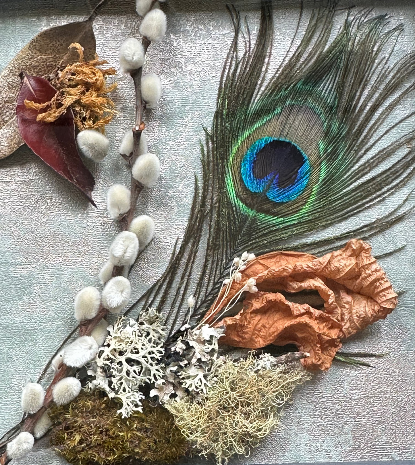 Peacock Still Natures — Framed Botanical Art