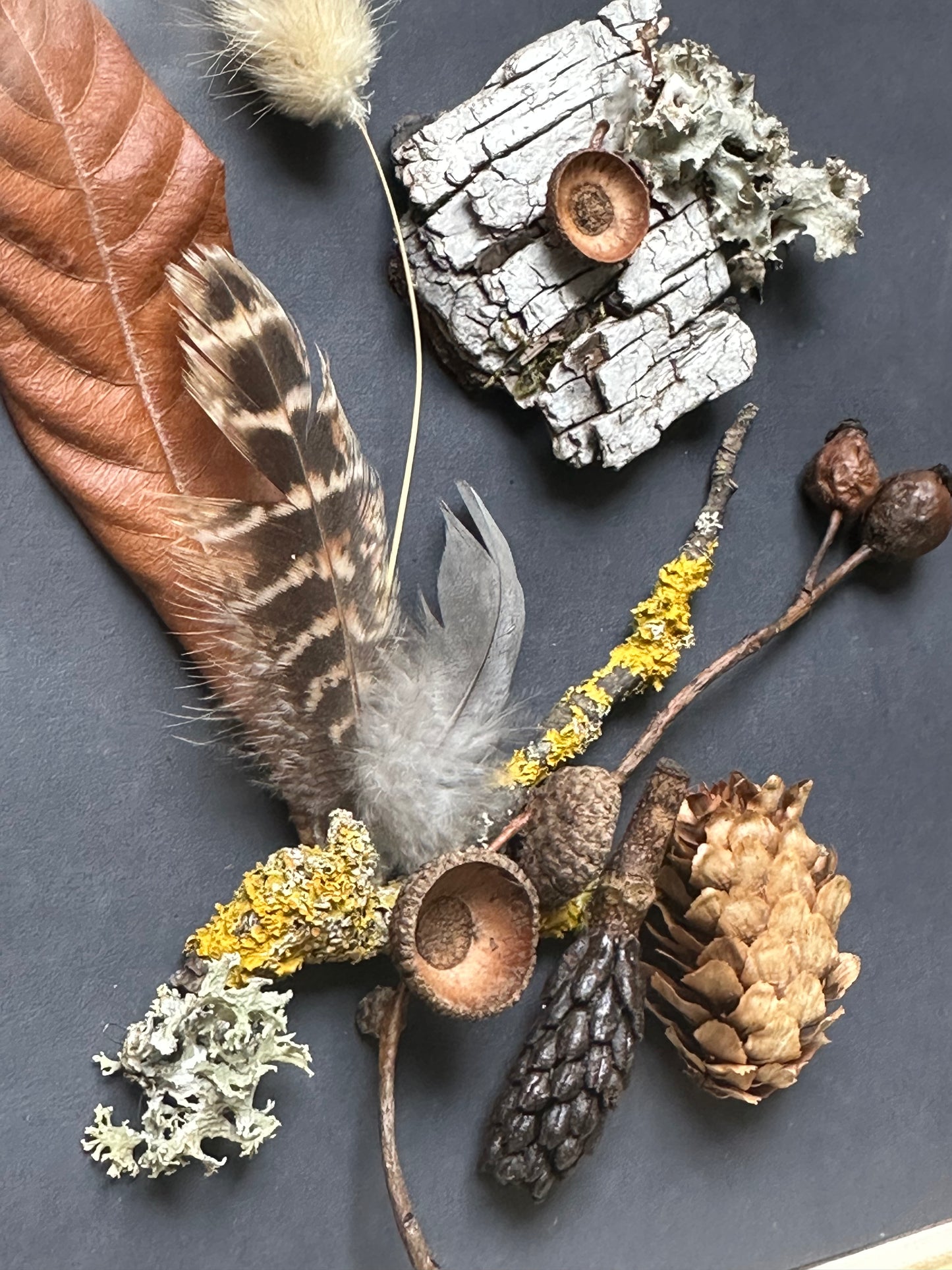 Dark Woodland Still Nature — Framed Botanical Art