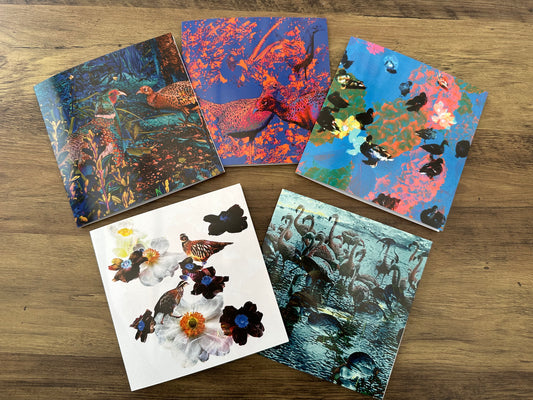 My Feathered Friends Greeting Cards Collection