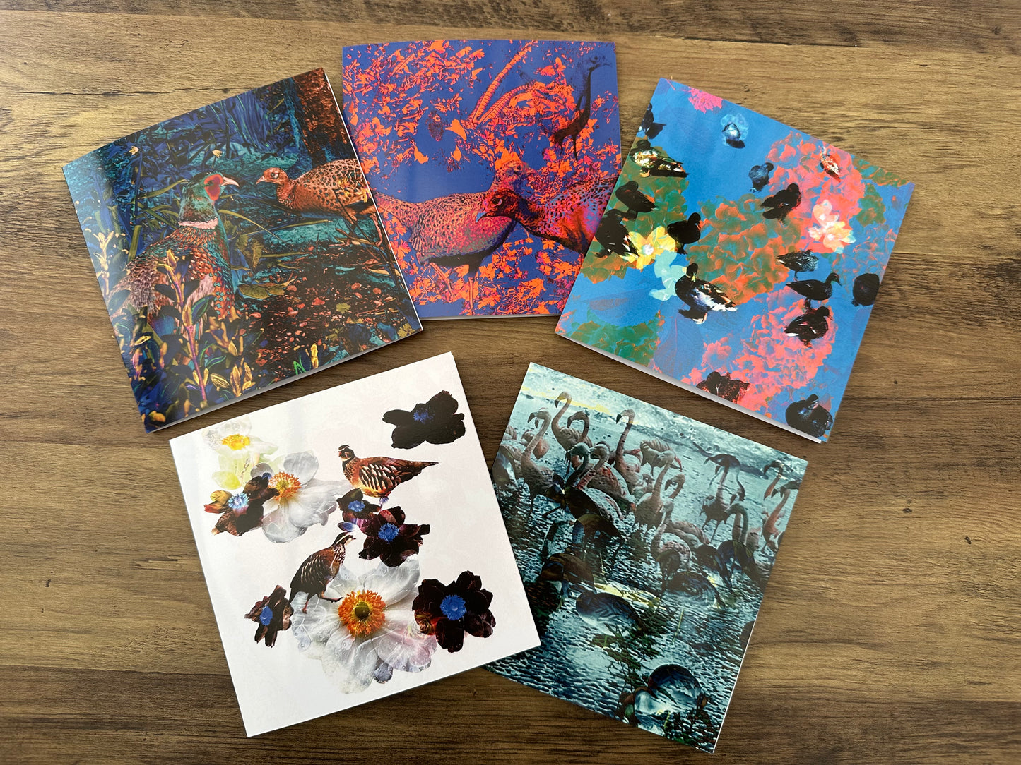 'Cock Pheasant and Three Hens', Square Greetings Card