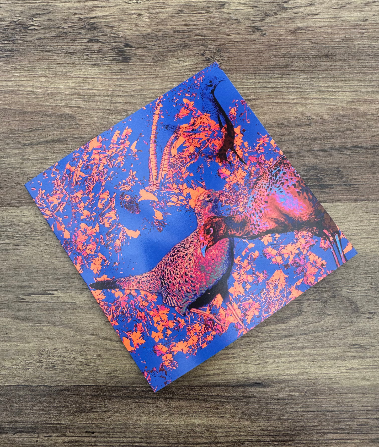 'Cock Pheasant and Three Hens', Square Greetings Card