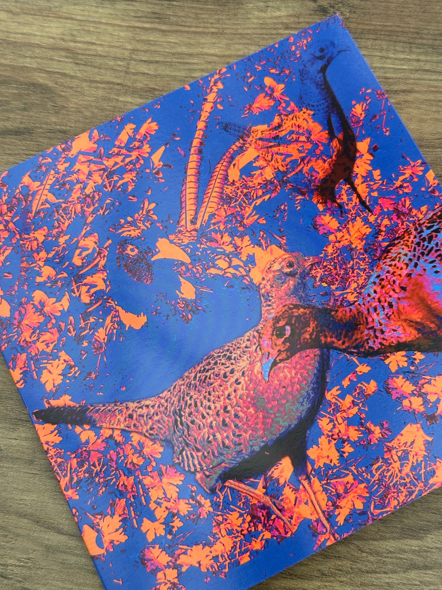 'Cock Pheasant and Three Hens', Square Greetings Card