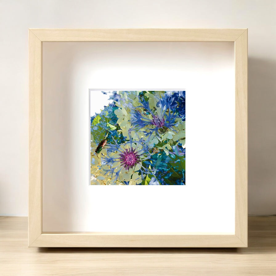 A Collection of Flowers, Set of Six Square Framed Prints