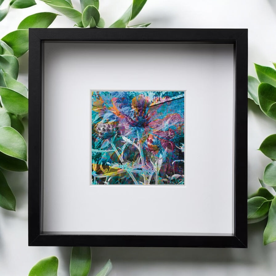 A Collection of Flowers, Set of Six Square Framed Prints