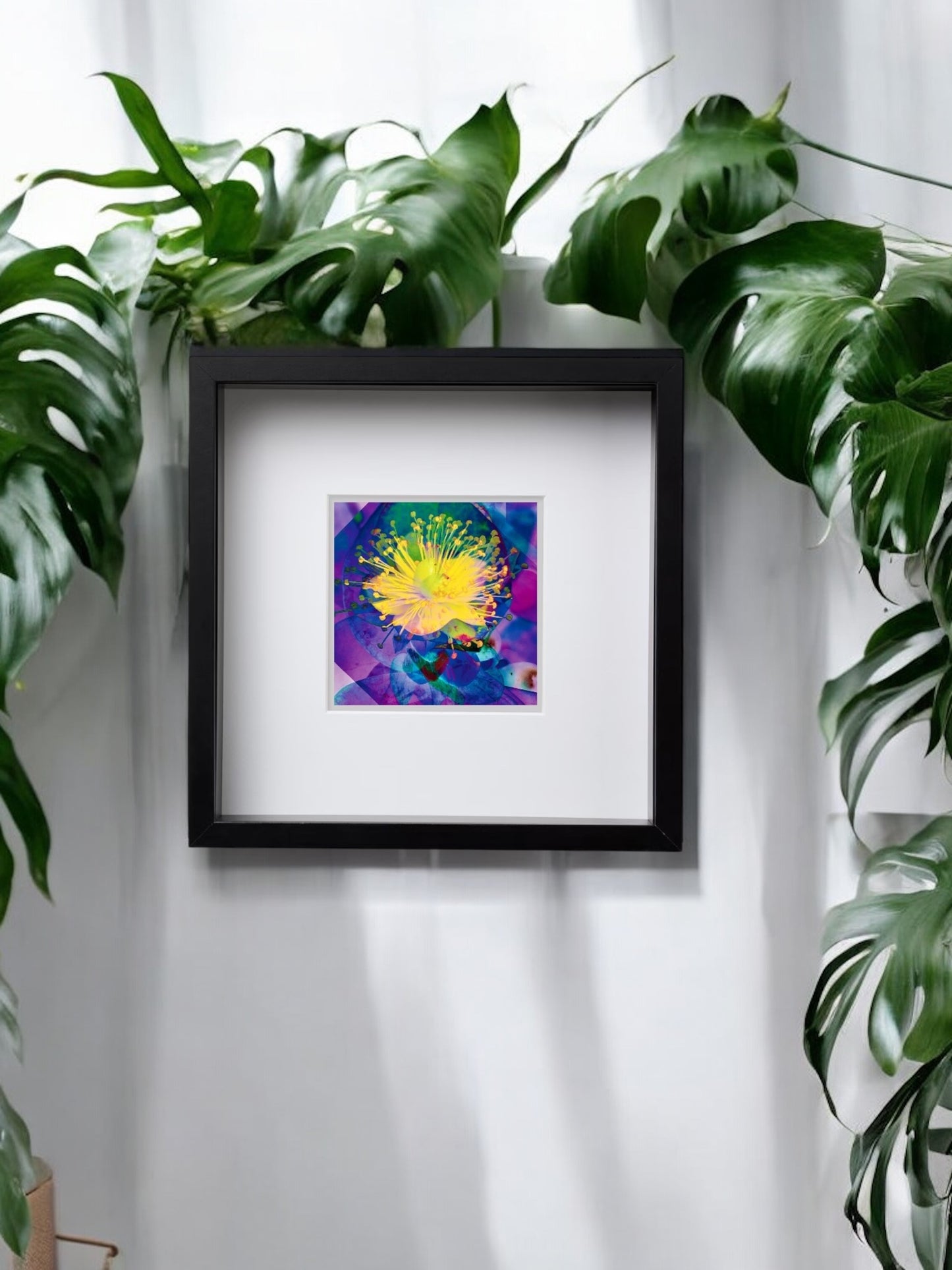 Mandarin Scent Square Framed Print, from A Collection of Flowers