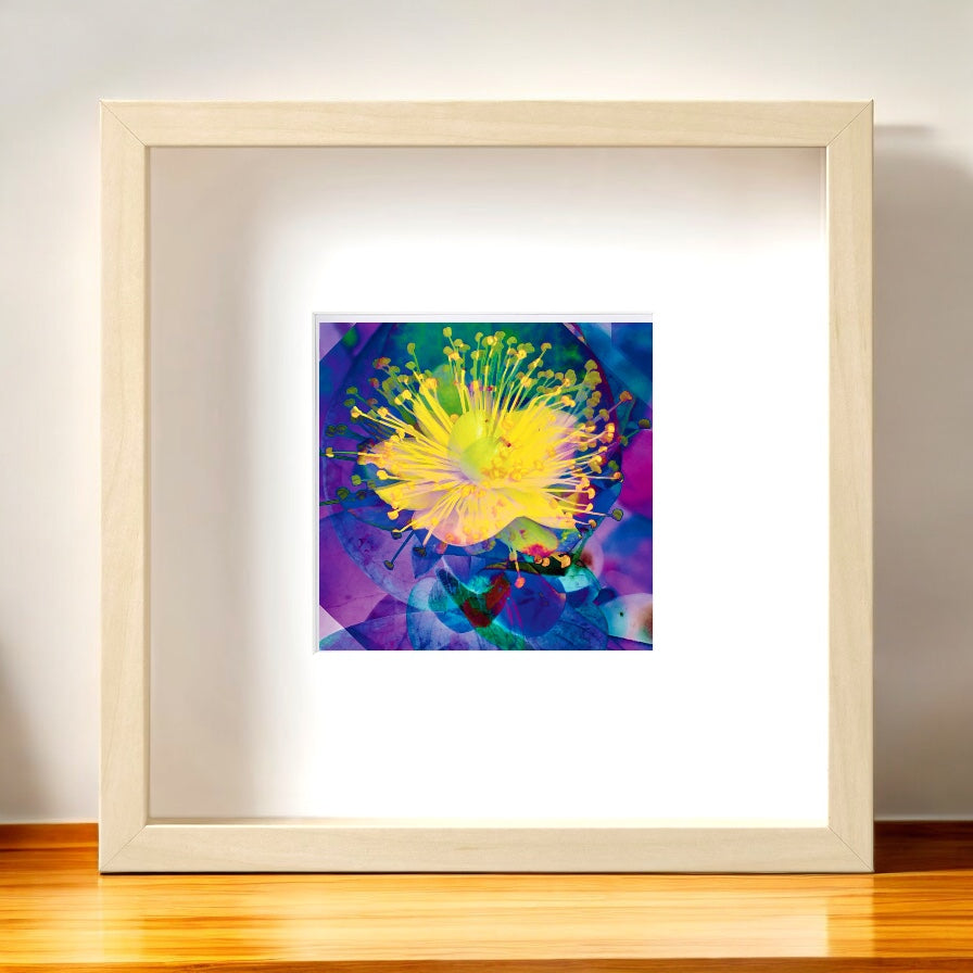 Mandarin Scent Square Framed Print, from A Collection of Flowers