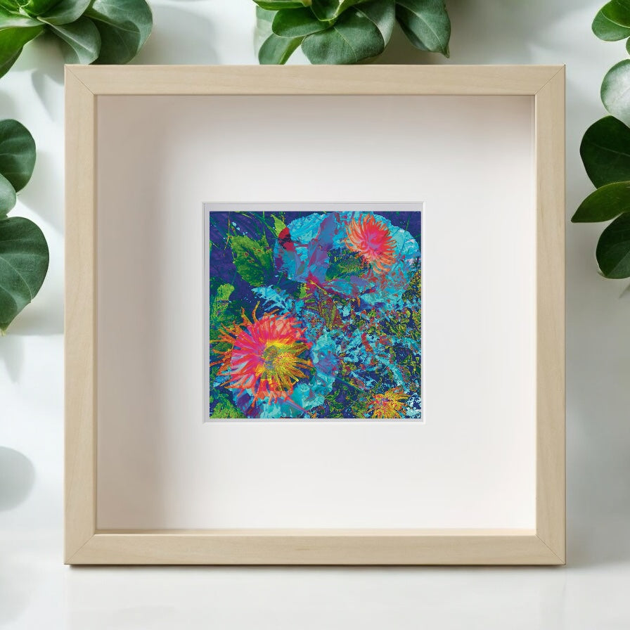 In Bloom, Framed Print  from A Collection of Flowers