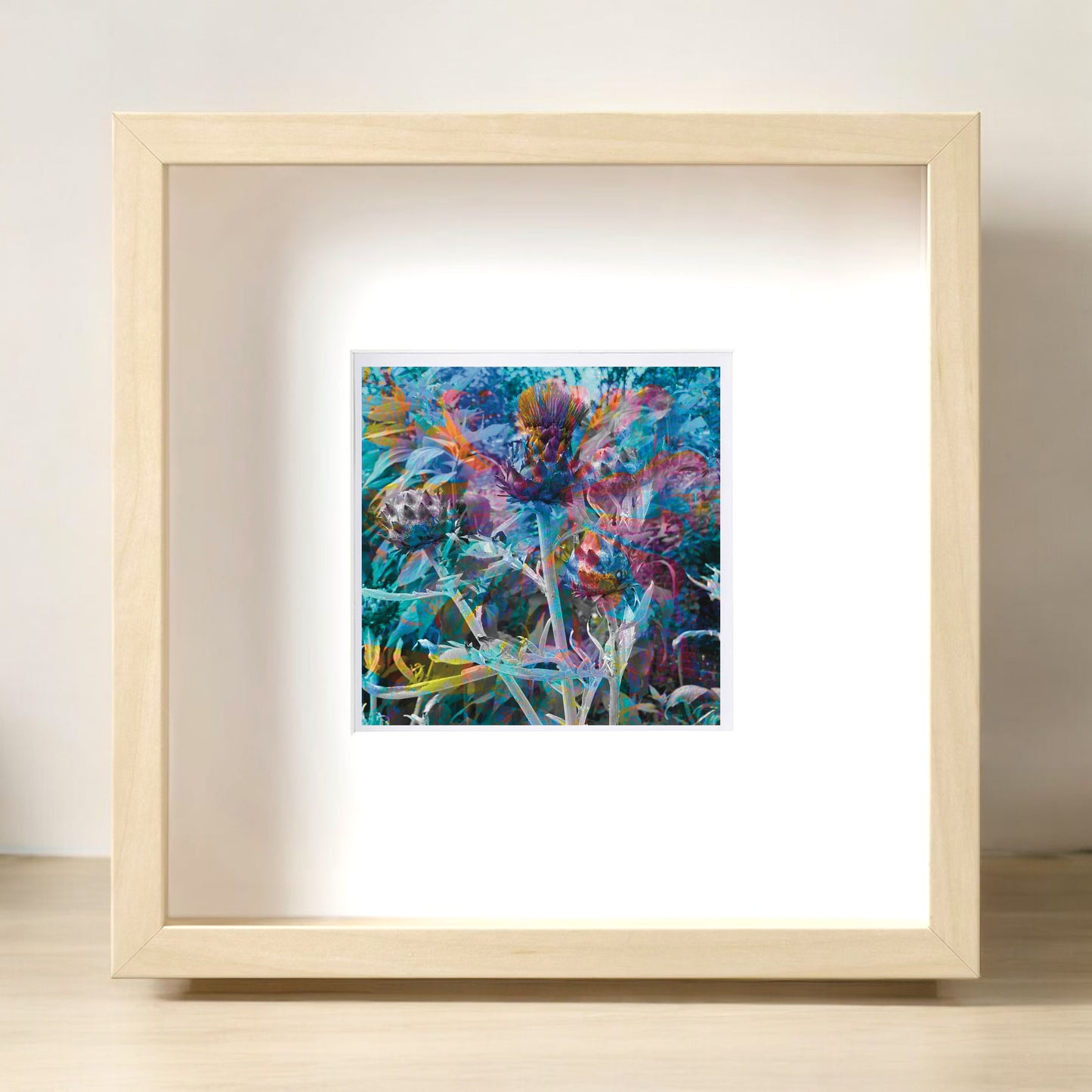 Flower of Scotland, Framed Print  from A Collection of Flowers