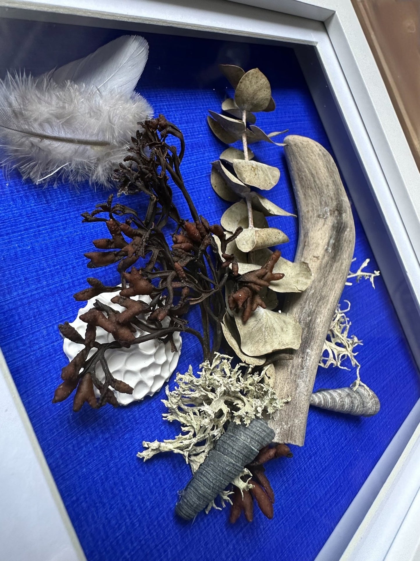Driftwood Still Nature — Framed Coastal Art - Visual Artwork - Eclectic Blue Studio