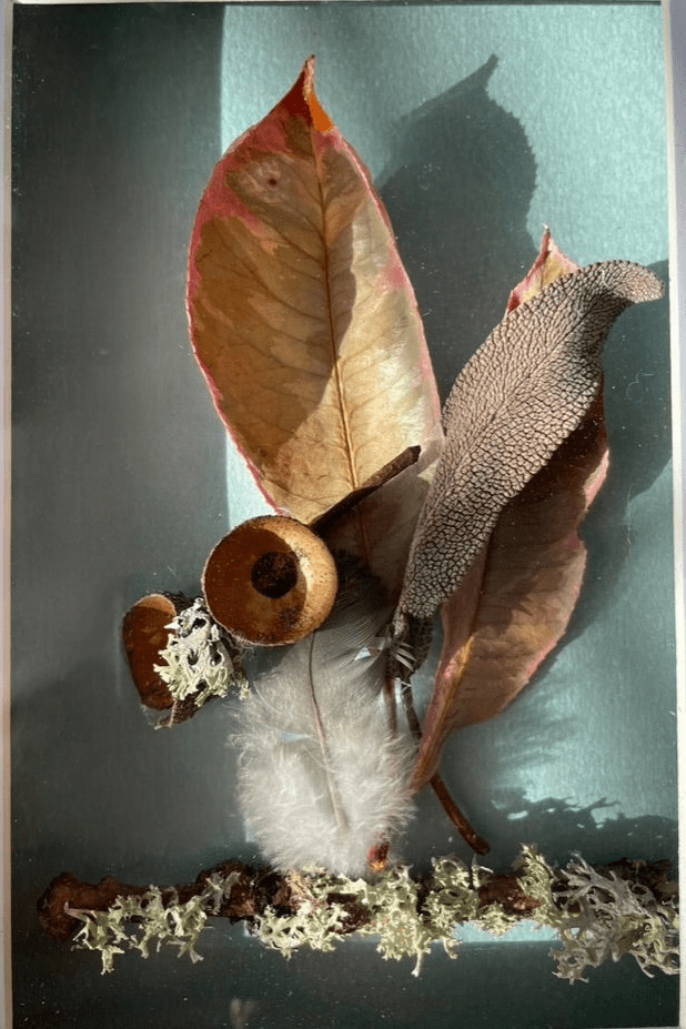 Autumn Walk Still Natures — Framed Botanical Art - Visual Artwork - Eclectic Blue Studio
