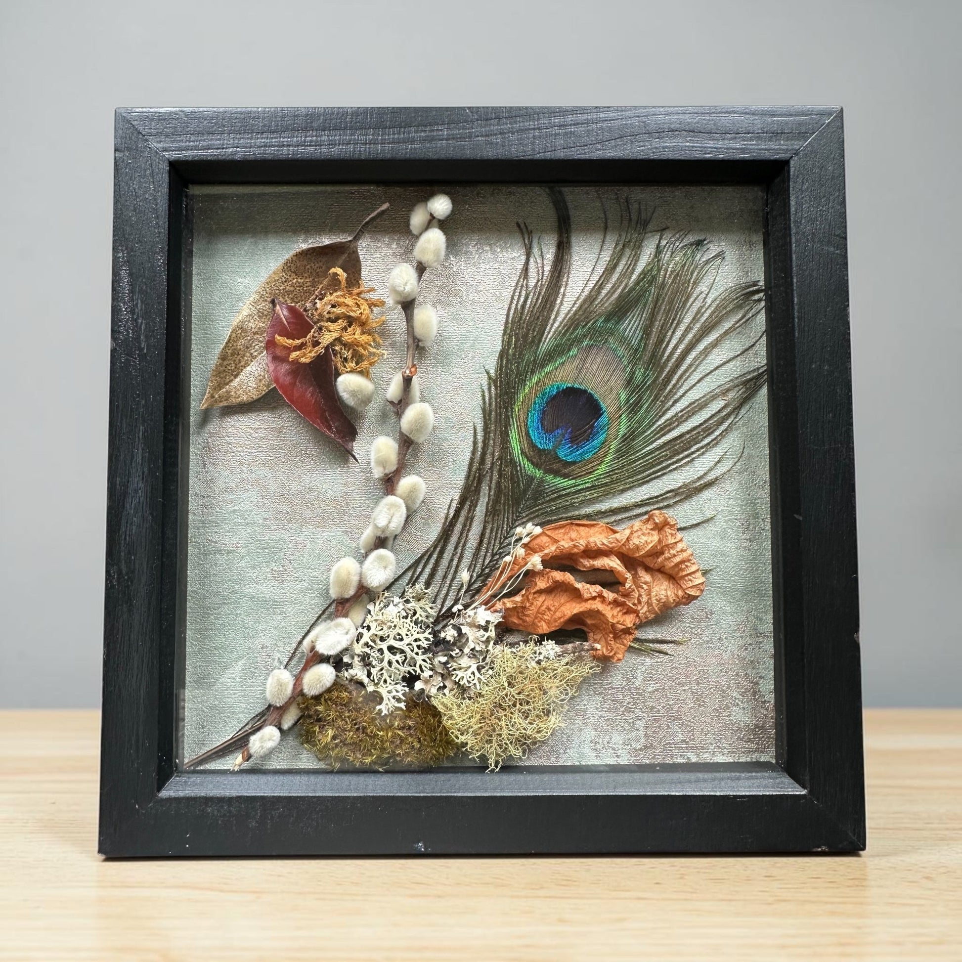 Peacock Still Natures — Framed Botanical Art - Visual Artwork - Eclectic Blue Studio
