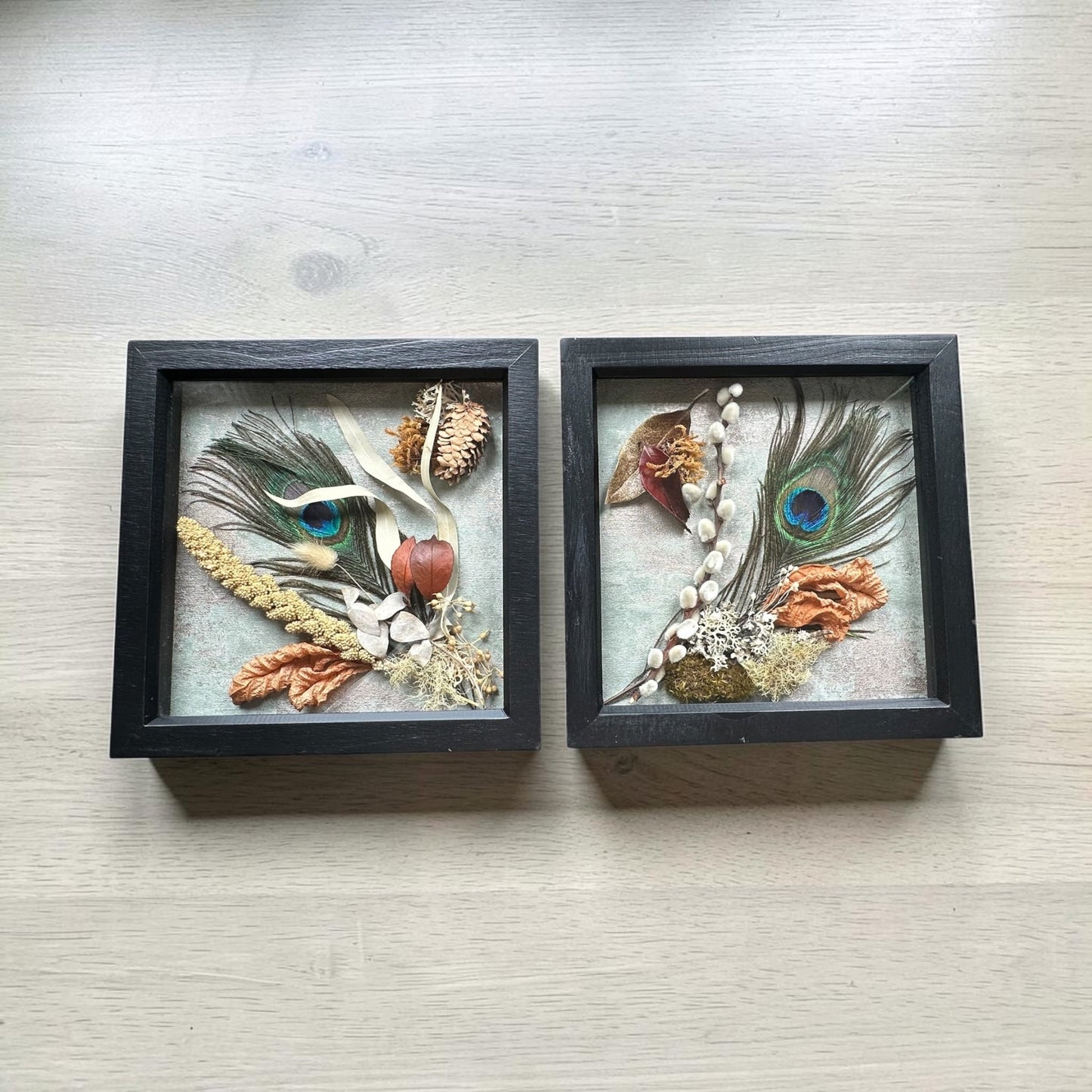 Peacock Still Natures — Framed Botanical Art - Visual Artwork - Eclectic Blue Studio