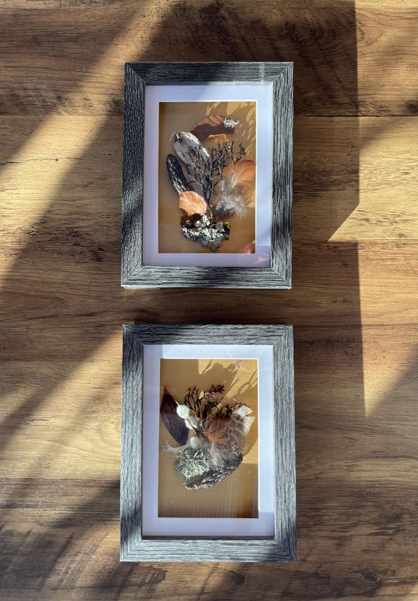 Sea & Land Still Natures — Framed Botanical Art - Visual Artwork - Eclectic Blue Studio