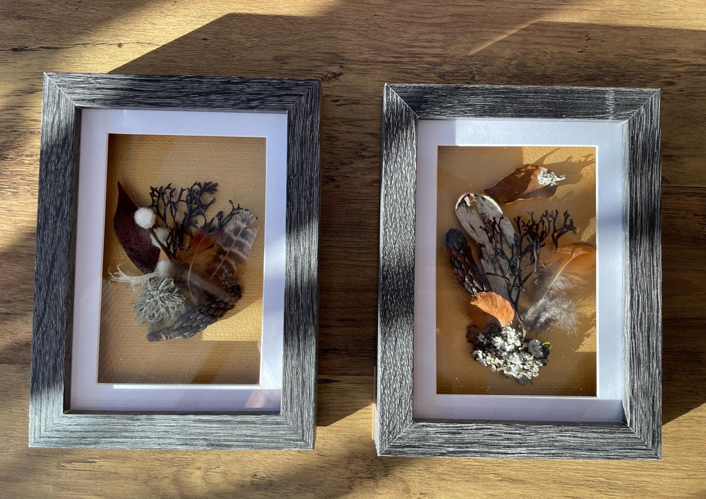Sea & Land Still Natures — Framed Botanical Art - Visual Artwork - Eclectic Blue Studio