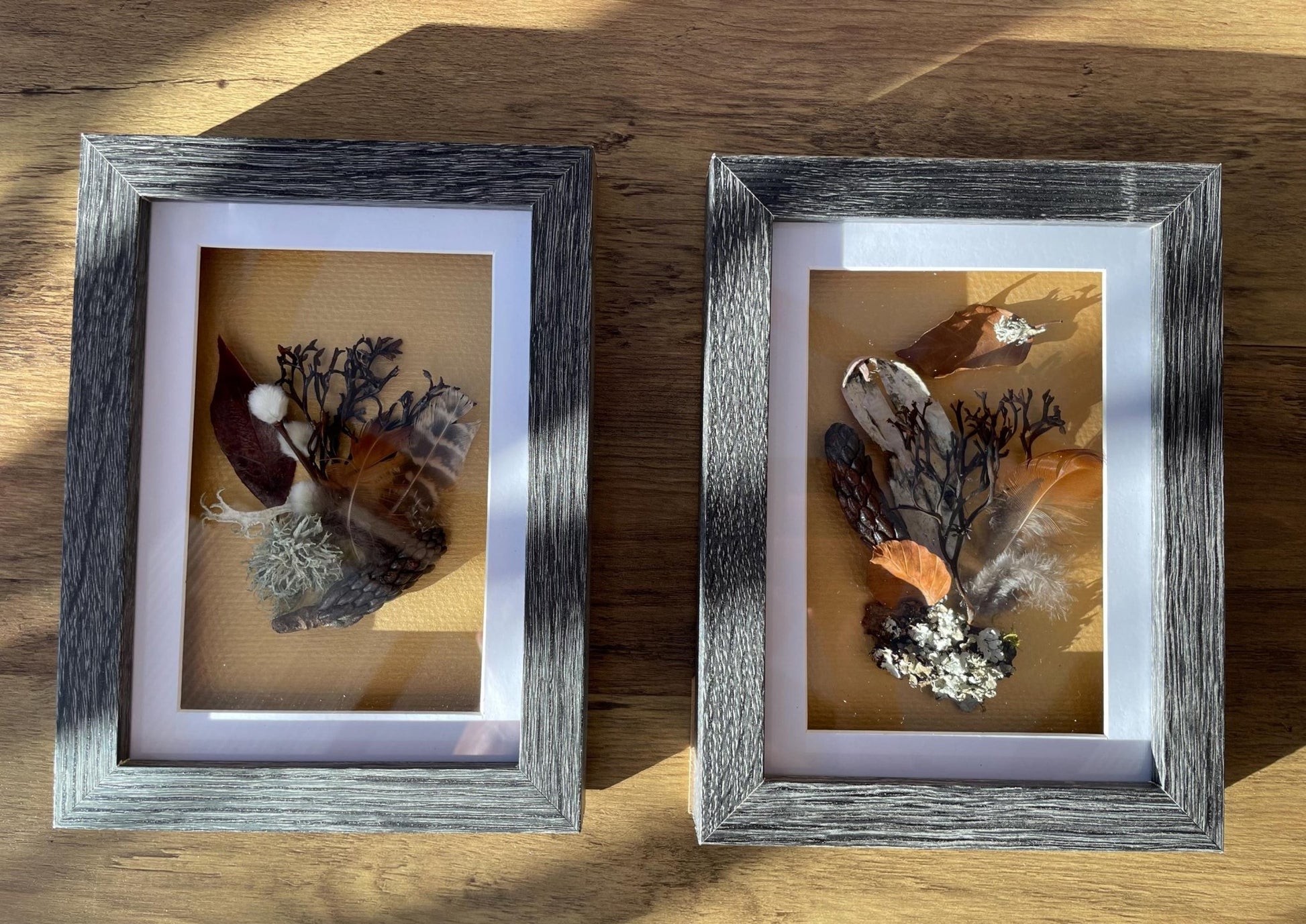 Sea & Land Still Natures — Framed Botanical Art - Visual Artwork - Eclectic Blue Studio