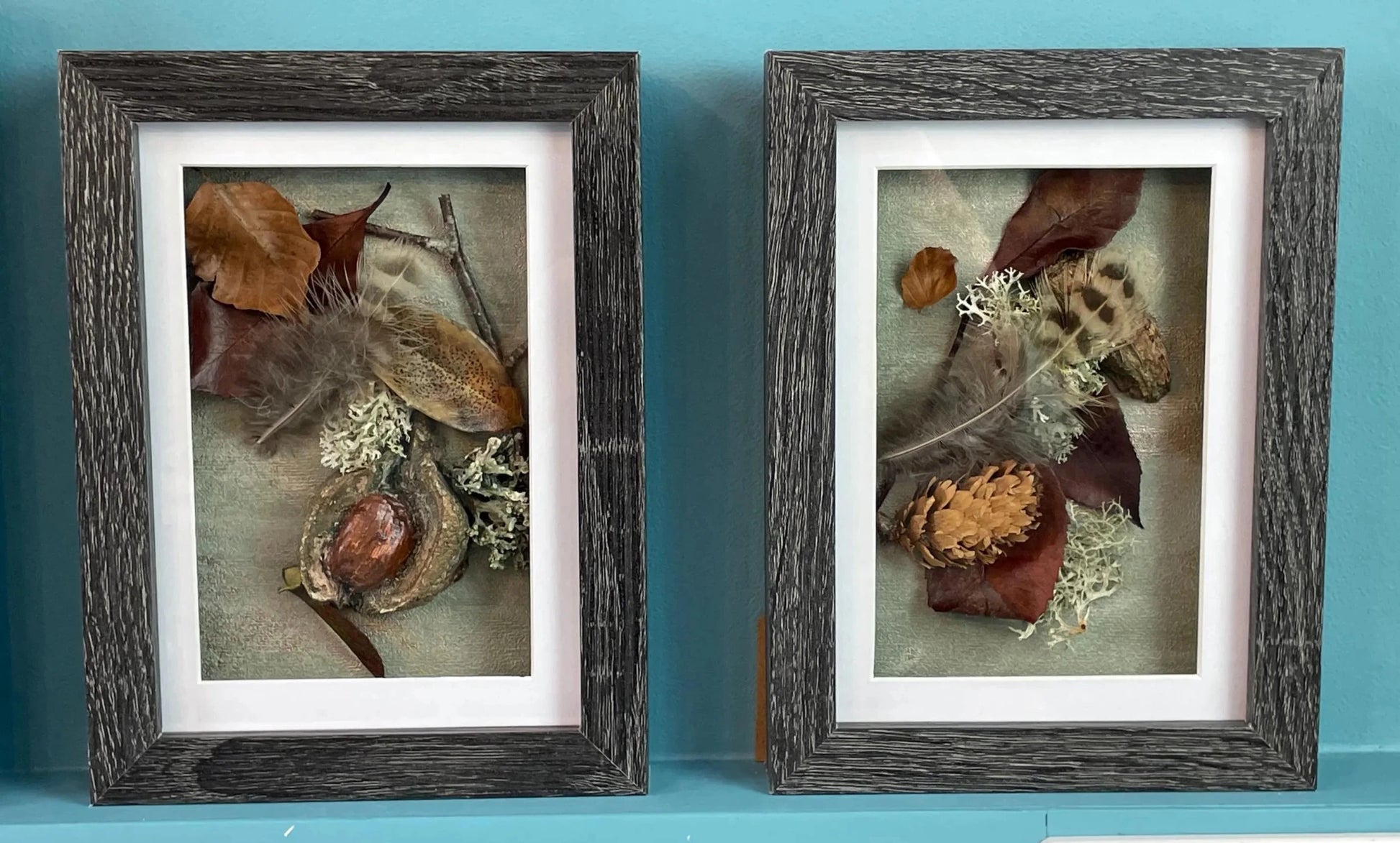 Woodland Still Natures — Framed Botanical Art - Visual Artwork - Eclectic Blue Studio