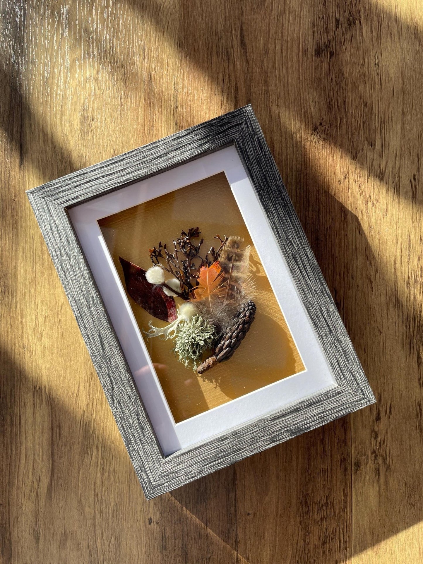 Sea & Land Still Natures — Framed Botanical Art - Visual Artwork - Eclectic Blue Studio