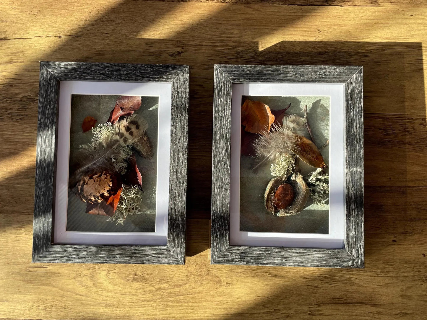 Woodland Still Natures — Framed Botanical Art - Visual Artwork - Eclectic Blue Studio