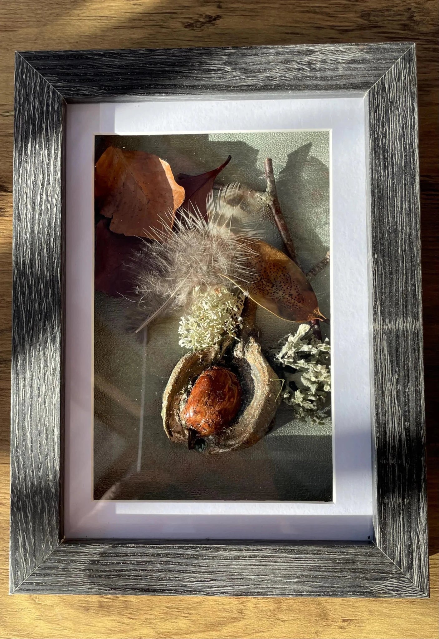 Woodland Still Natures — Framed Botanical Art - Visual Artwork - Eclectic Blue Studio