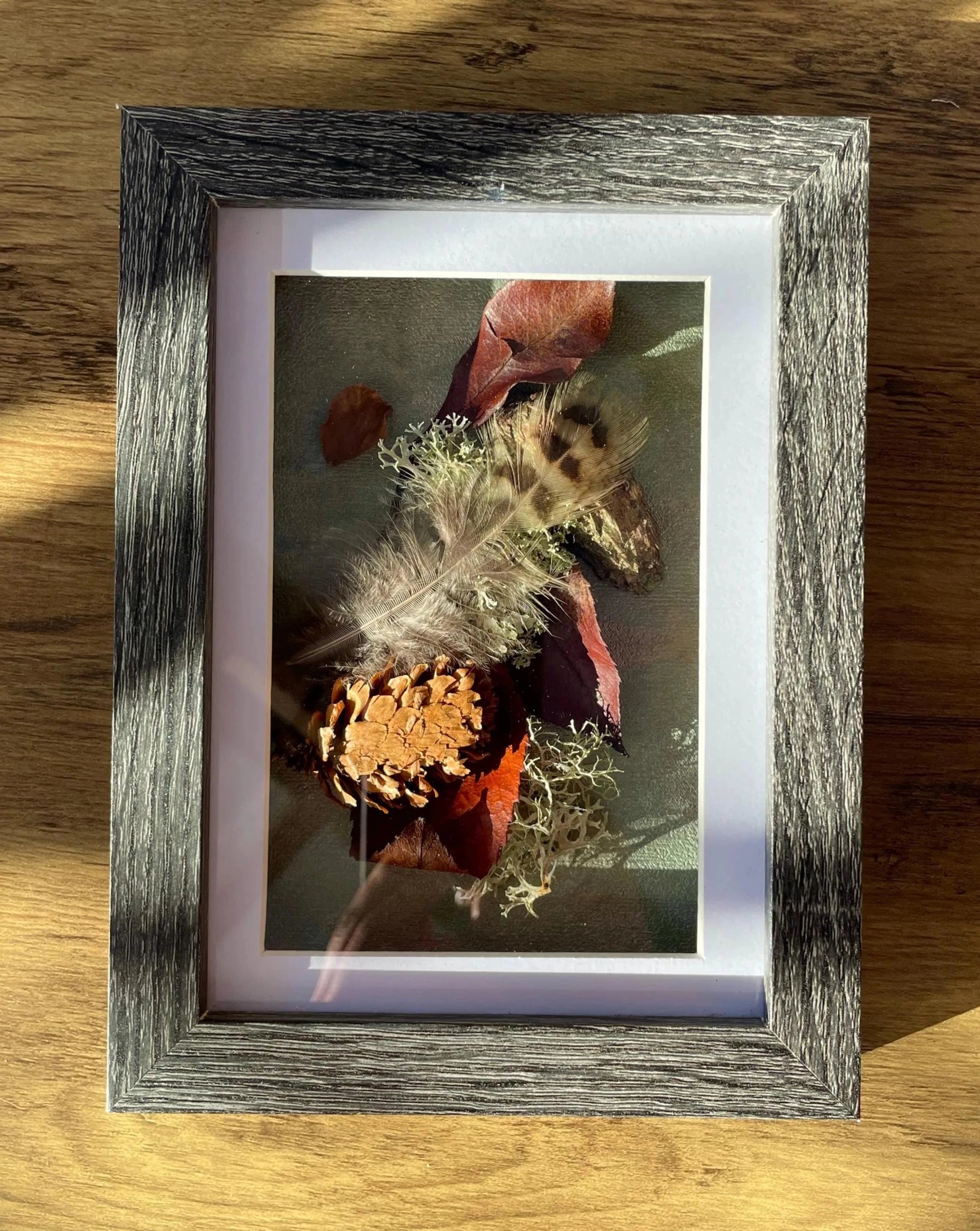 Woodland Still Natures — Framed Botanical Art - Visual Artwork - Eclectic Blue Studio