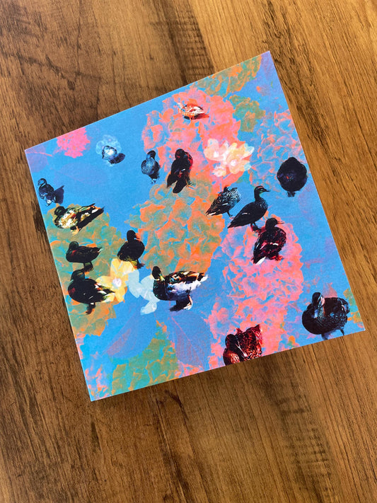 'Ducks in the Park', Square Greetings Card
