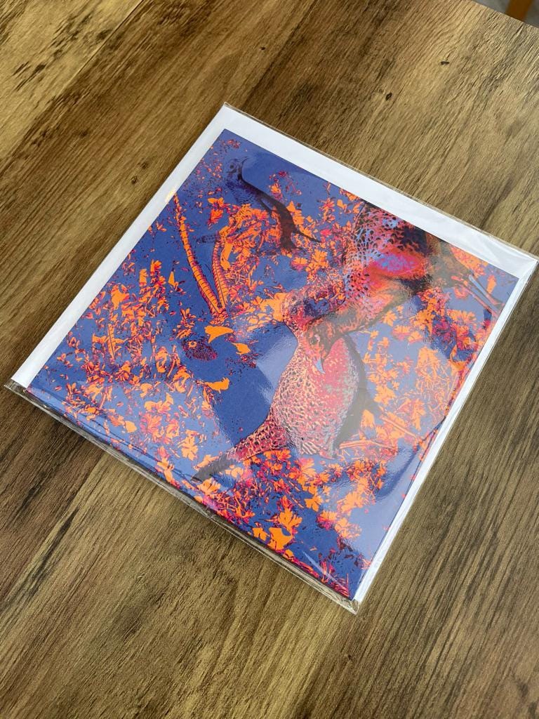 'Cock Pheasant and Three Hens', Square Greetings Card